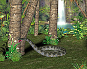 Titanoboa prehistoric snake,illustration