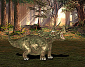 Triceratops dinosaur,illustration