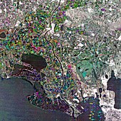 Camargue delta,France,satellite image