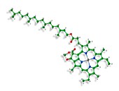 Chlorophyll A molecule,illustration