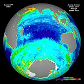 Ocean chlorophyll concentrations