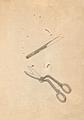 Surgical tools,19th-century Japan