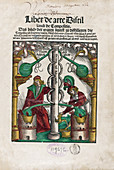 Distillation apparatus,16th century