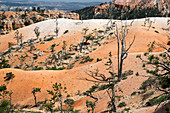 Bryce Canyon National Park,USA