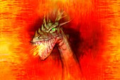Fire-breathing dragon,illustration