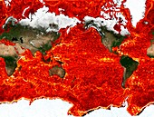 Global ocean surface currents simulation
