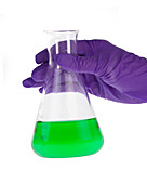 Conical flask in latex-gloved hand