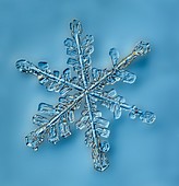 Snowflake crystal,LM