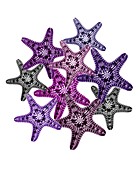 Starfish array,X-ray
