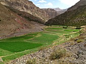 Irrigated valley in Morocco