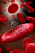 Nanobot in the blood system,concept