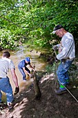 Volunteers clearing log jam