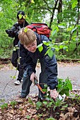 Volunteers removing weeds