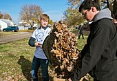 Young volunteers raking leaves