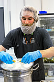 Edible marijuana products factory