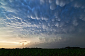 Mammatus clouds