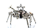 Scorpion robot