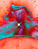 Horsehead Nebula,HST image