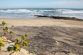 Titanium deposits on a beach