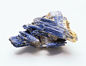 Blue Kyanite crystals in groundmass