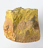 Carnotite in rock groundmass,close-up