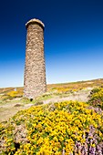 An old abandoned tin mine chimney