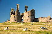 Dunstanburgh castle