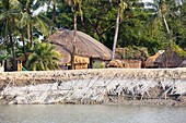 Coastal flood defences in the Sunderbans