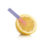 Litmus paper test on a lemon