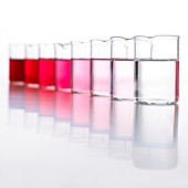 Water samples coloured with beetroot