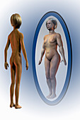 Body dysmorphia,illustration