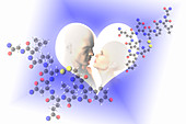 Oxytocin,illustration