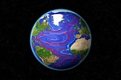 Atlantic Ocean Currents,illustration