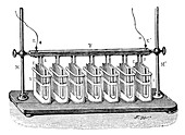 Wollaston battery pile,1810s