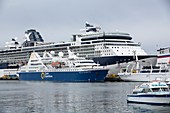 Antarctic cruise boats