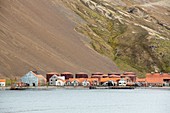 Stromness Whaling Station