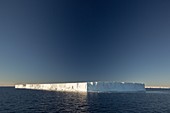 A tabular iceberg off Livingstone Island