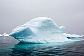 Icebergs off Curverville Island