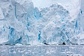 Retreating glaciers in Wilhelmina Bay