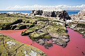 A pool coloured red from algae