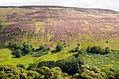 Littondale in the Yorkshire Dales