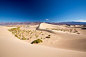 Mesquite flat sand dunes,Death Valley