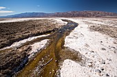 Saline creeks in Death Valley