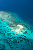Sand cay,Great Barrier Reef