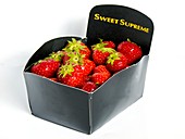 Strawberries in display carton
