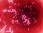 Ebola virus particles,illustration