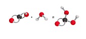 Formation of carbonic acid