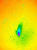 Comet Hale-Bopp,1997