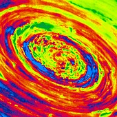 Saturn's polar vortex