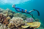 Free diver swimming over coral reef